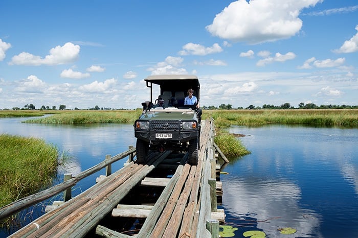 Duba Plains Camp - Think Africa