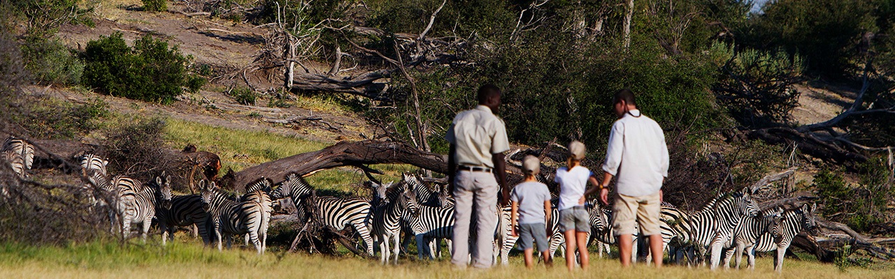 Leroo La Tau - Think Africa